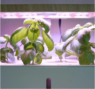 Education & Innovation