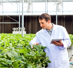 Strategic Food Security